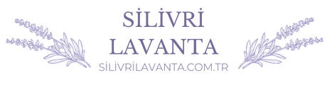 silivrilavanta.com.tr